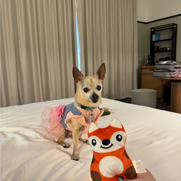 Meet your Posher, Yamilet - Picture 11 of 12